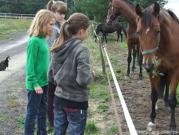 Zajcia integracyjne klas pierwszych