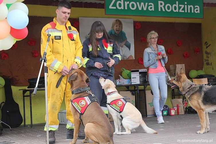 Festyn Zdrowa Rodzina